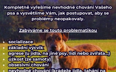 Porozumějte svému pejskovi